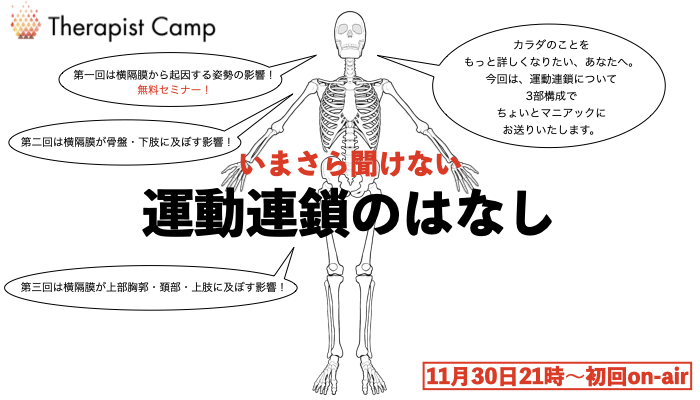 今さら聞けない運動連鎖の話 | セラピストキャンプ