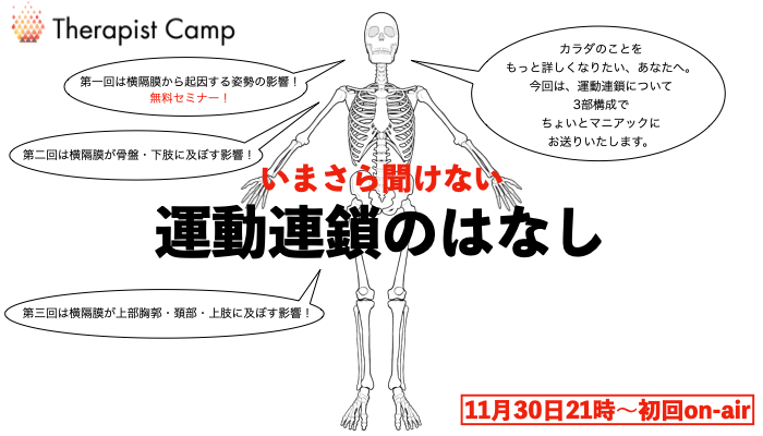 今さら聞けない運動連鎖の話 | セラピストキャンプ